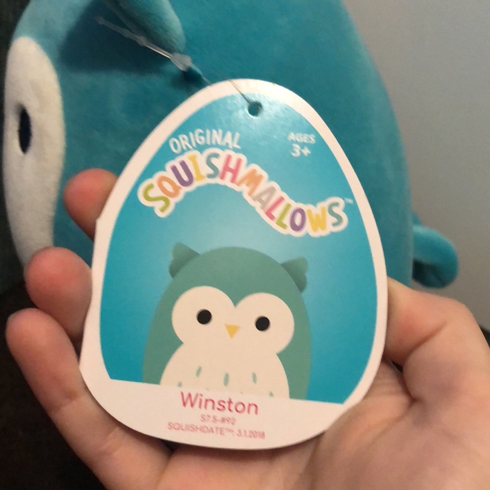 Winston the owl squishmallow - Picture 3 of 5